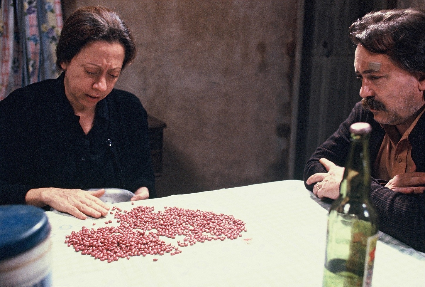 Fernanda Montenegro em filme brasileiro premiado no Festival de Veneza