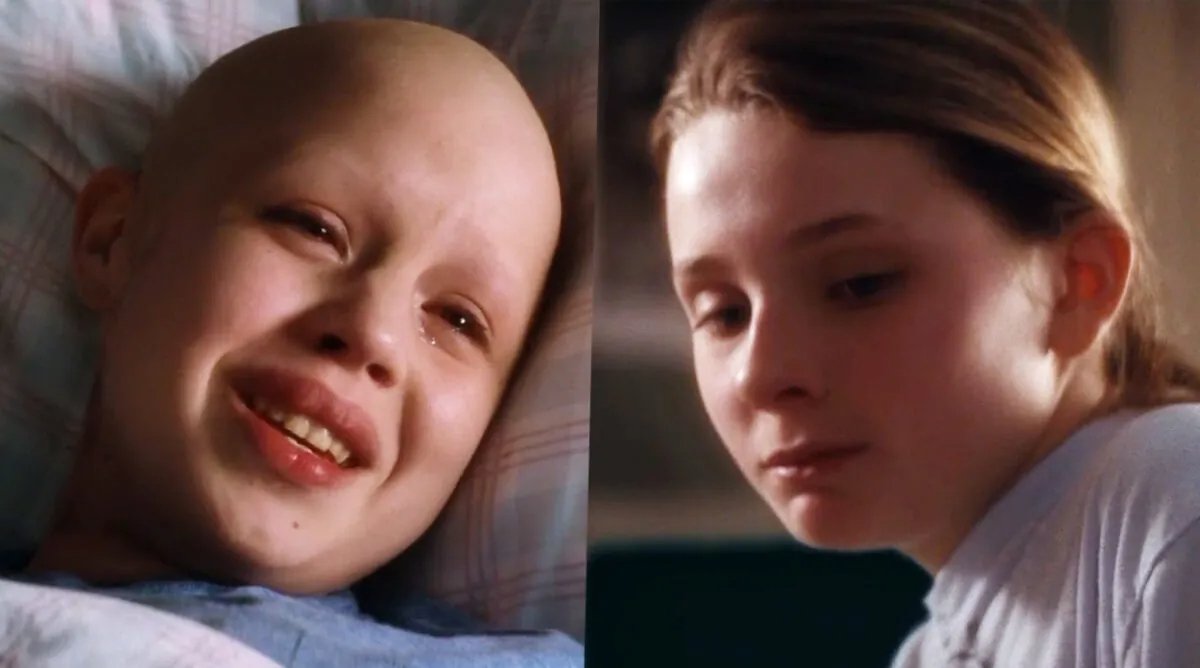 Onde assistir Uma Prova de Amor, filme original completo em português dublado