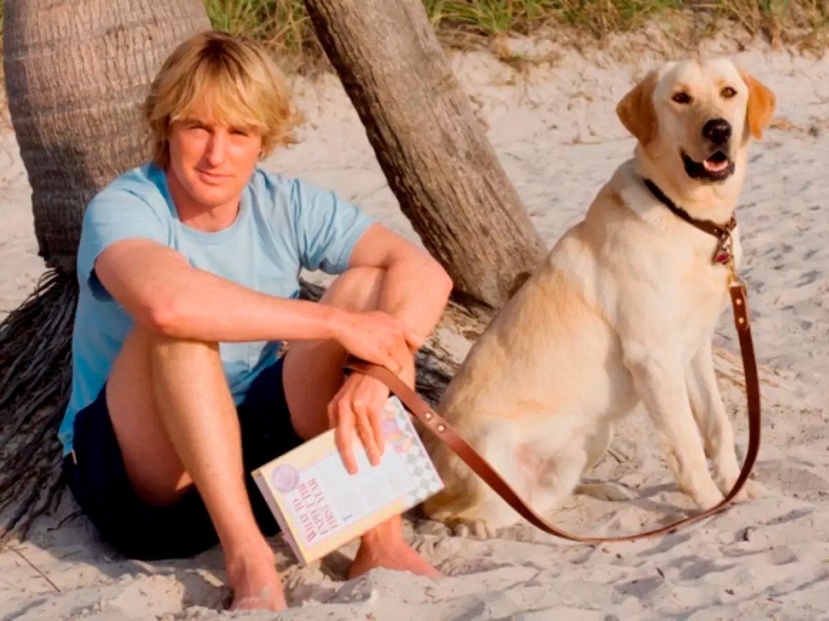 Como termina o filme Marley e Eu