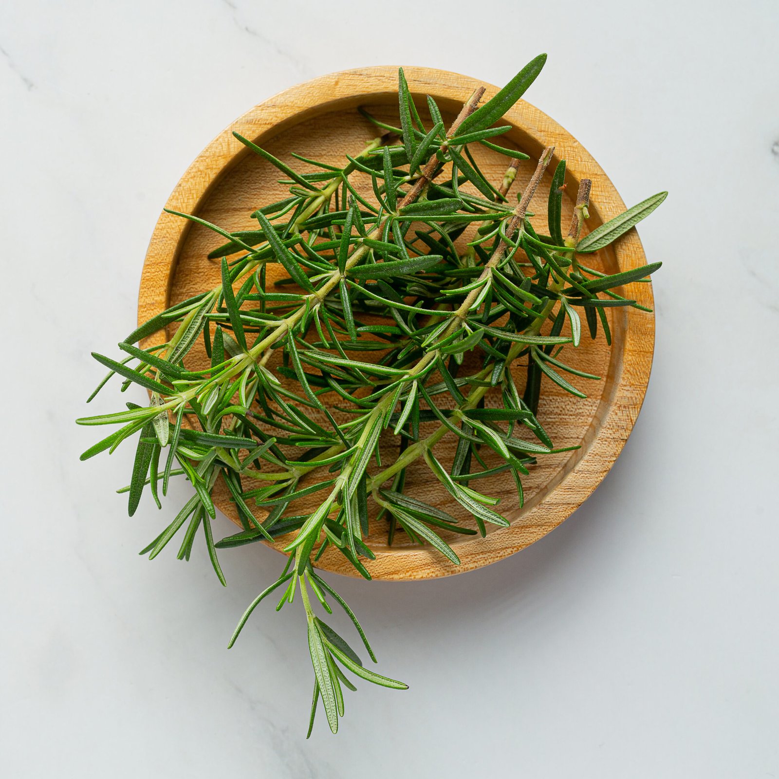 Como usar o alecrim para ganhar dinheiro e atrair prosperidade