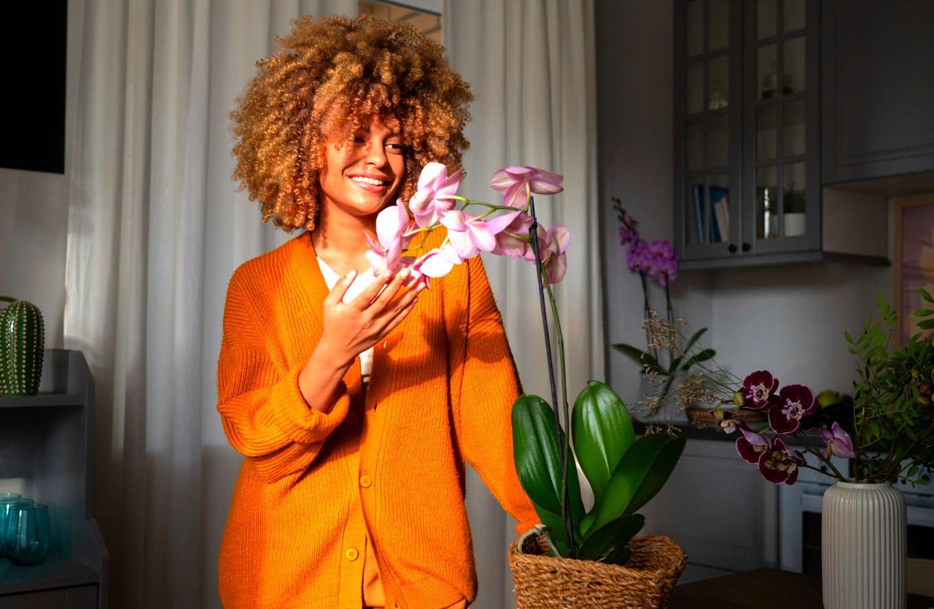 Quais são as melhores flores para plantar em apartamento?